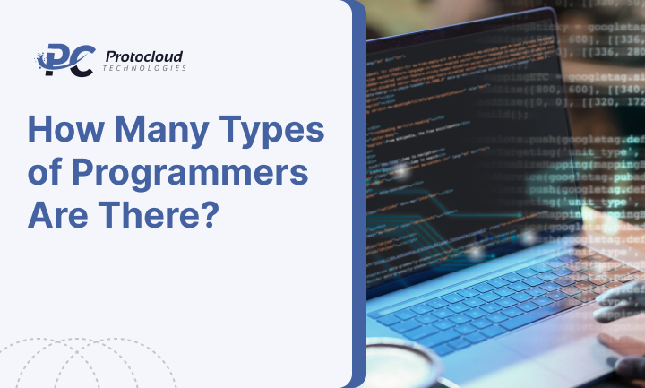 How Many Types of Programmers Are There