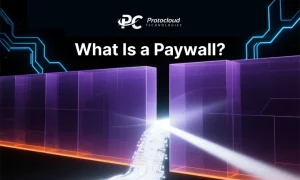 what is paywall